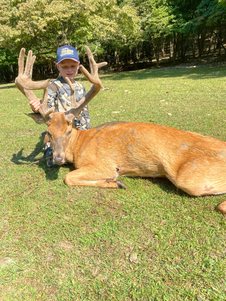 plr_whitetail_150_160_01.webp