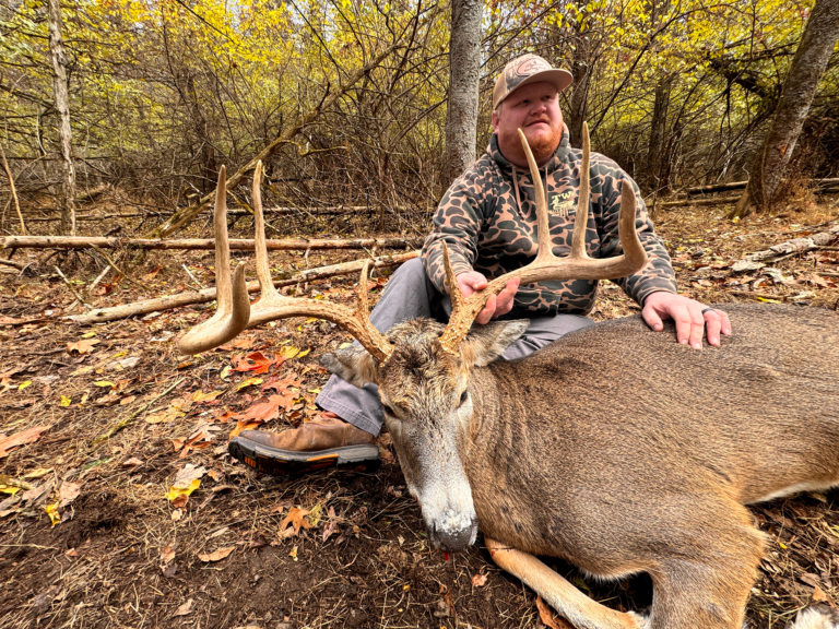 plr_whitetail_150_160_05.webp