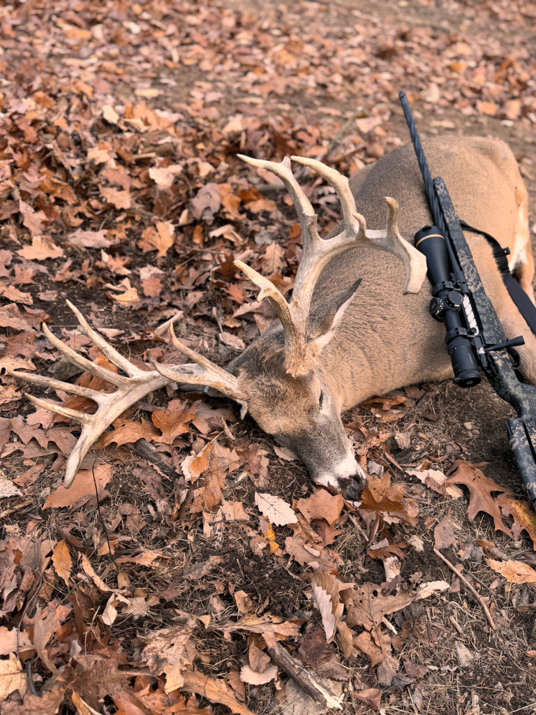 plr_whitetail_200-220_018.webp