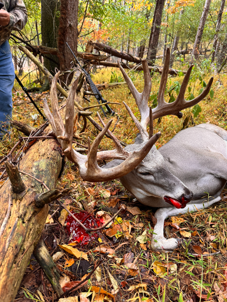 plr_whitetail_221-300_017.webp