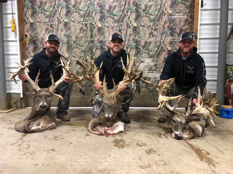 plr_whitetail_221-300_02.webp