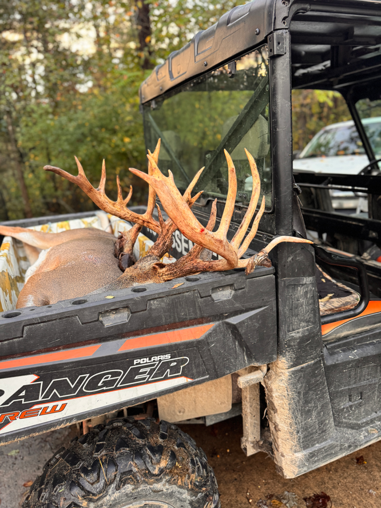 plr_whitetail_221-300_020.webp