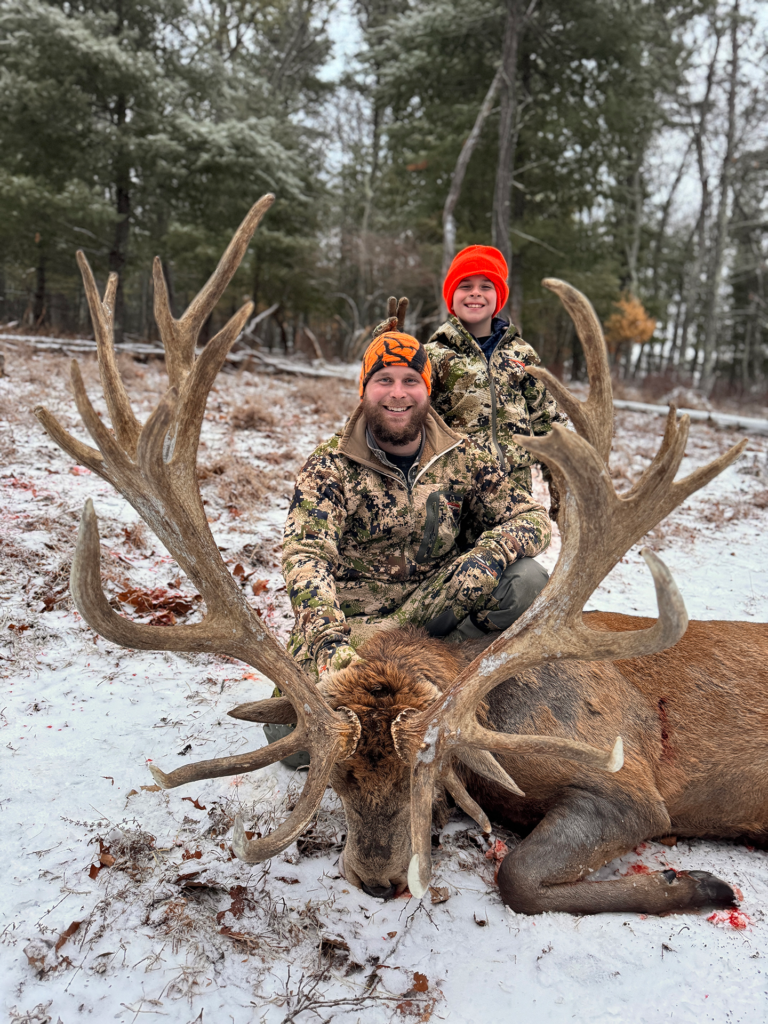 plr_elk_stag_01.webp
