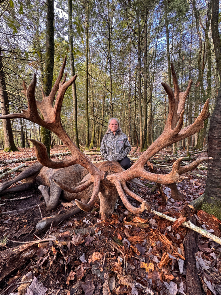 plr_elk_stag_016.webp