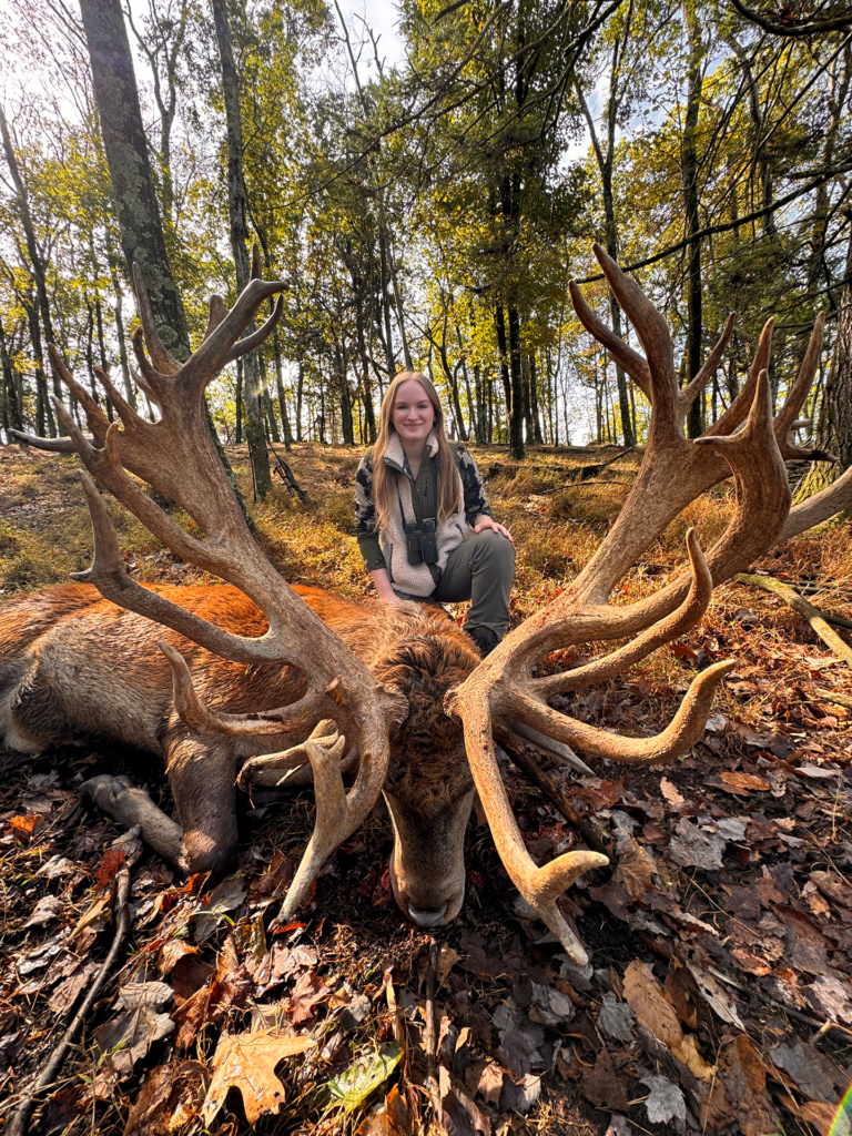 plr_elk_stag_017.webp