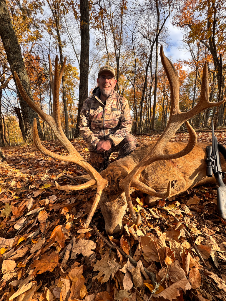 plr_elk_stag_018.webp