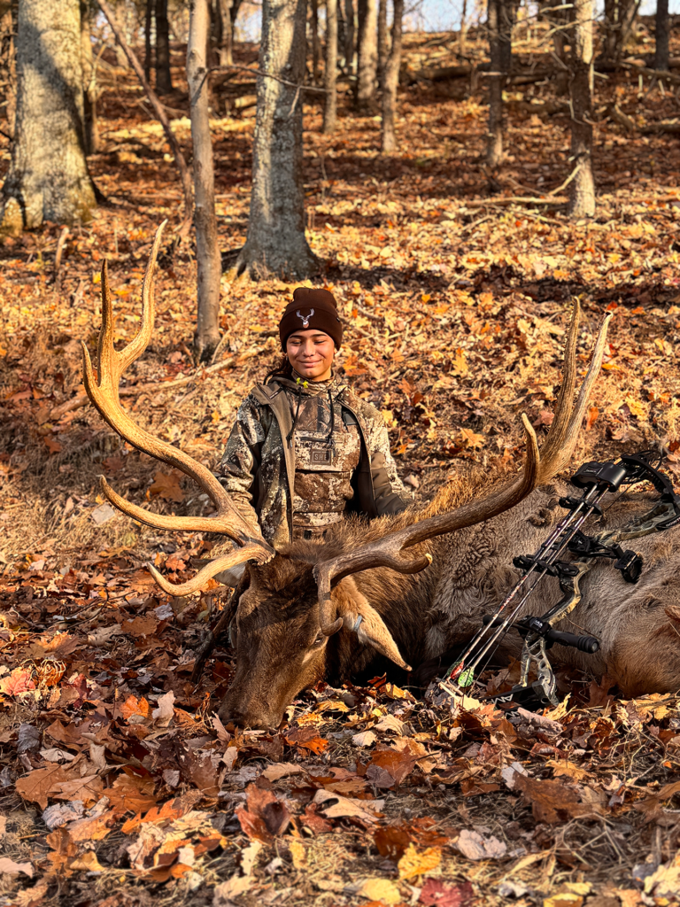 plr_elk_stag_019.webp