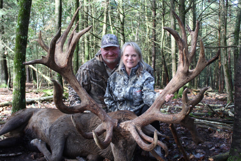 plr_elk_stag_02.webp