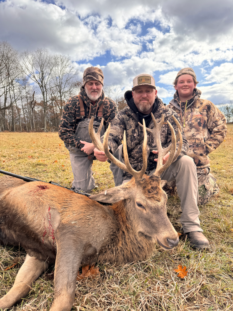 plr_elk_stag_020.webp