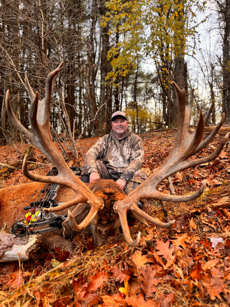 plr_elk_stag_021.webp