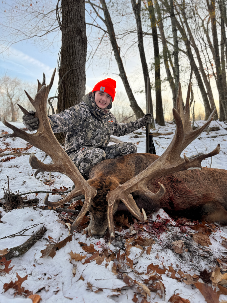 plr_elk_stag_022.webp