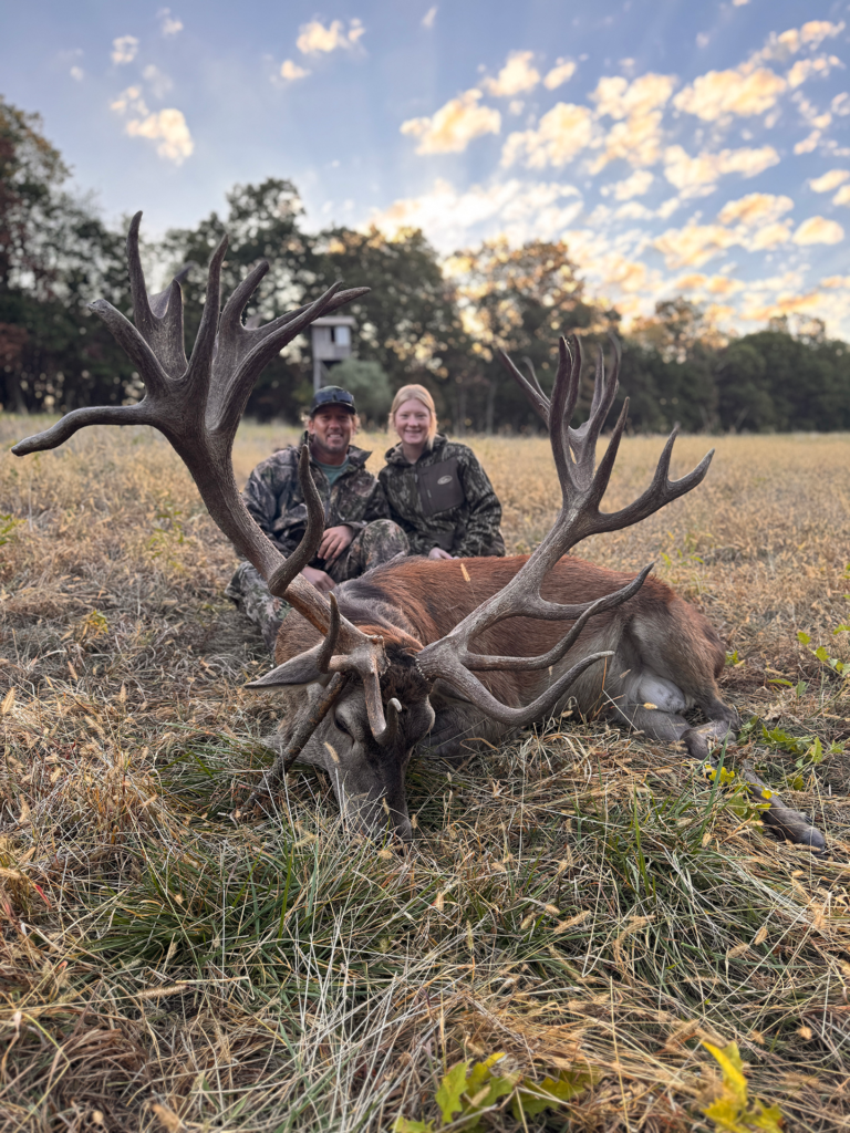 plr_elk_stag_06.webp