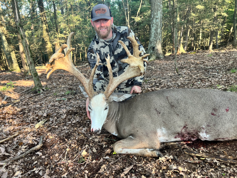 plr_piebald_white_03.webp