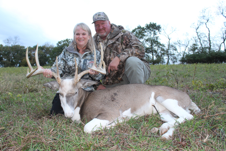 plr_piebald_white_04.webp