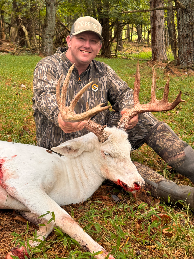 plr_piebald_white_05.webp
