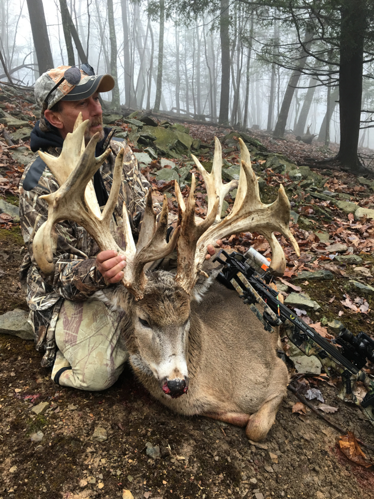plr_whitetail_300_01.webp