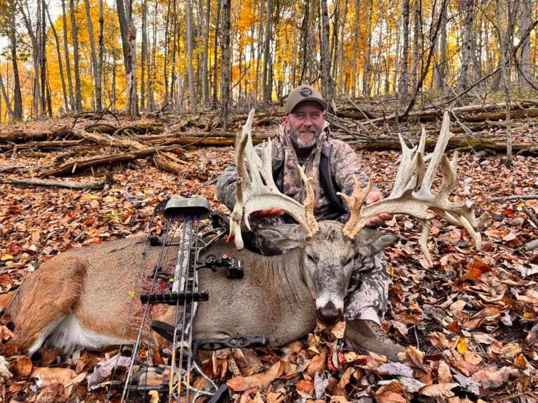 plr_whitetail_300_04.webp