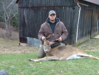 plr_deer_00208