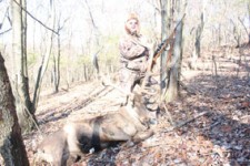 plr_elk_00076