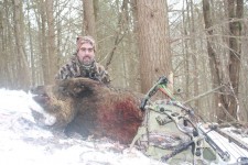 plr_pigs_00051