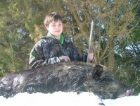 plr_pigs_00086