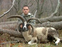 plr_rams_00120